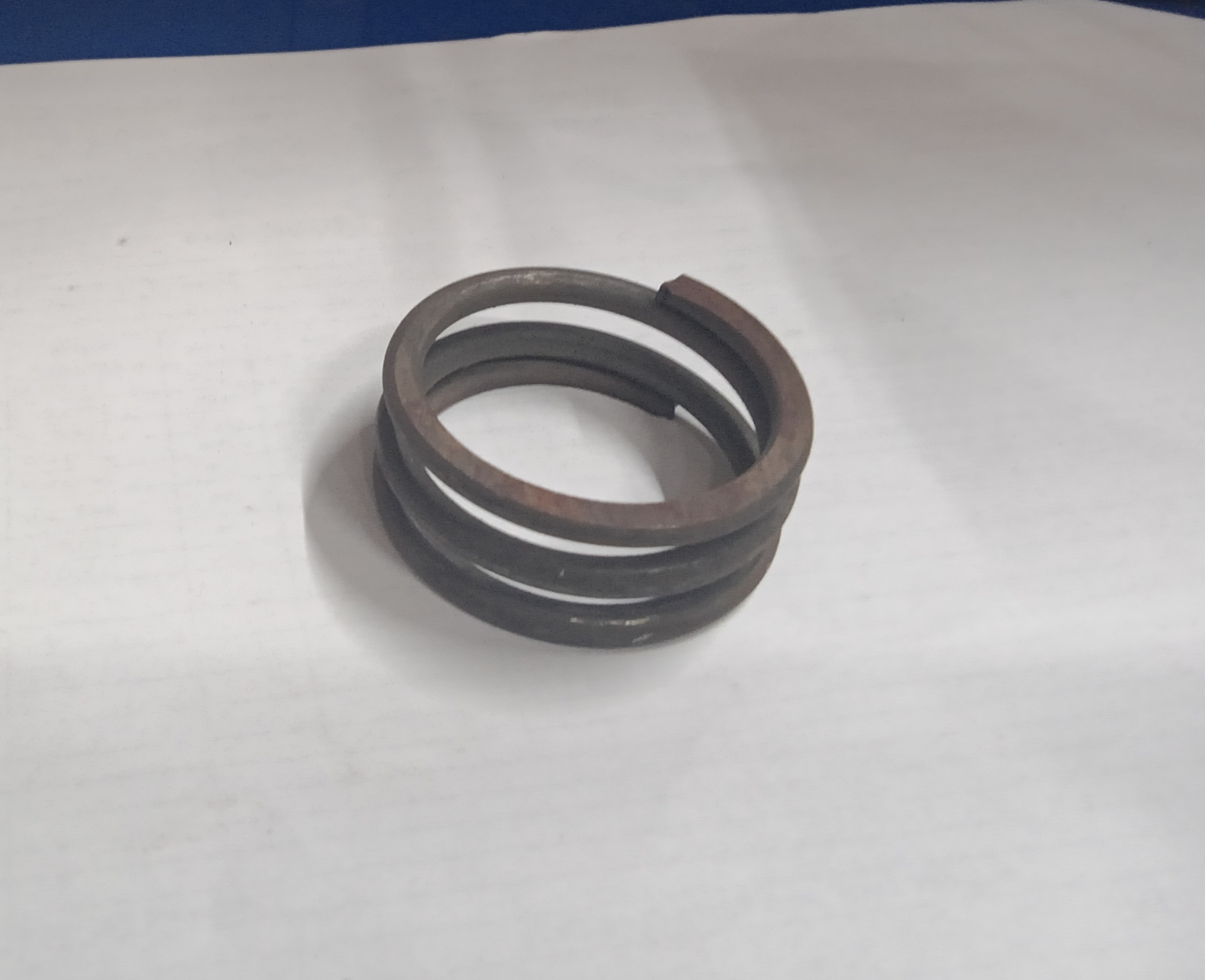 Hydelberg platan head spring 