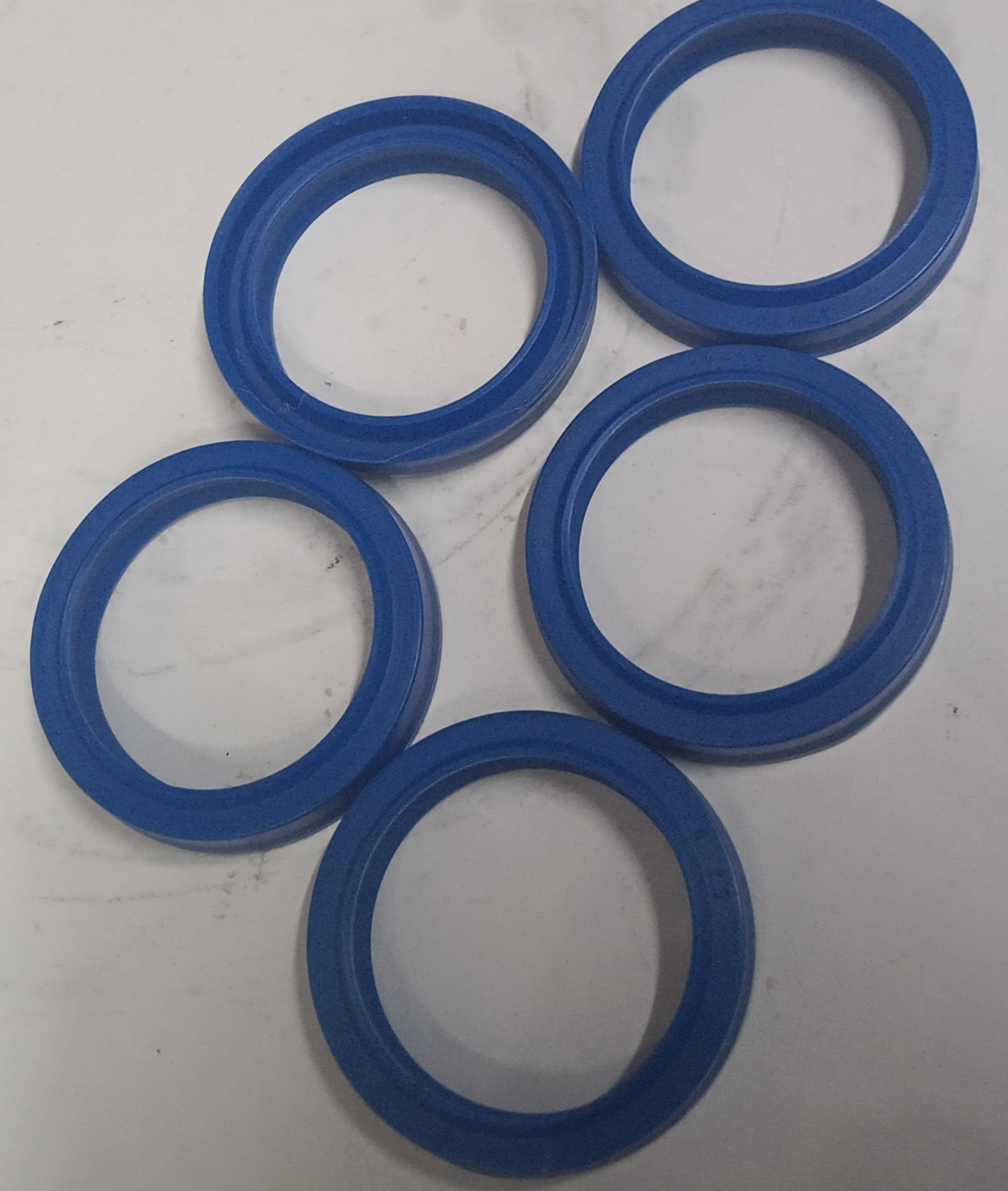 Oil seal 