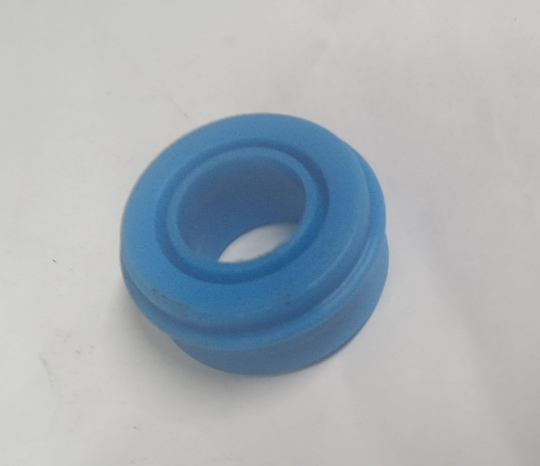 Oil seal 